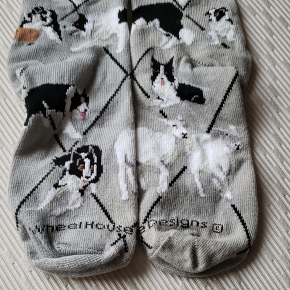 wheelhouse Accessories Last Pair New Border Collie Socks Poshmark